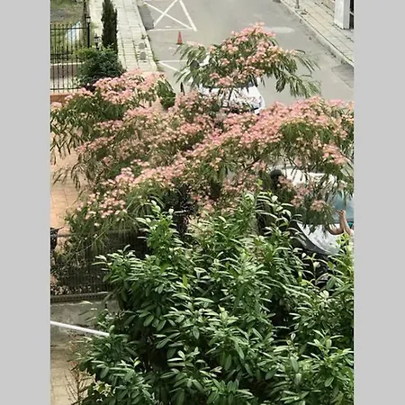 דירה Familienapartment Am In